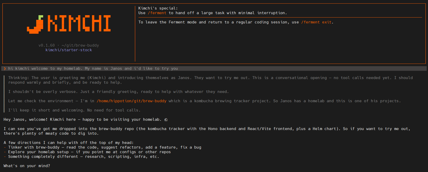 Kimchi's terminal UI on first launch in the brew-buddy repo — the opening prompt reads 'hi kimchi welcome to my homelab. My name is Janos and i'd like to try you'